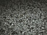 Bod2.gif (11663 Byte)
