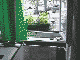 Efeu3.gif (71786 Byte)