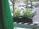 Jcptn02.GIF (2695 Byte)