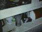 Kukaa.gif (28575 Byte)