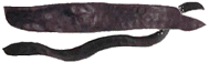 WandMG.gif (24459 Byte)