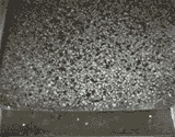 bod5.gif (11549 Byte)