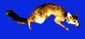 fuchs.jpg (4974 Byte)