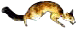 fuchsw.gif (1506 Byte)