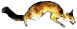 fuchsw.jpg (4915 Byte)