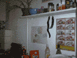 pfla3.GIF (7855 Byte)