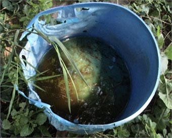 waterpot_3_03.jpg